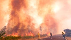 Incendios en Corrientes. En enero y febrero se quemó seis veces más superficie que en los cinco veranos anteriores sumados